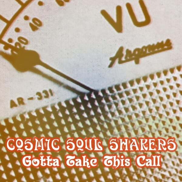 Cover art for Gotta Take This Call